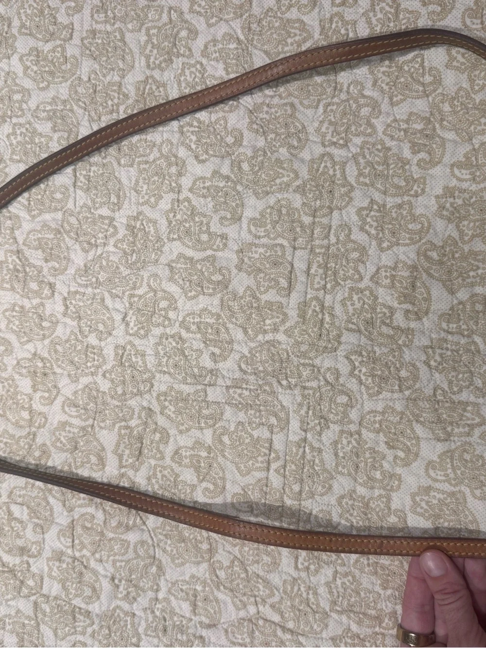 Louis Vuitton Eva Pochette